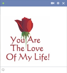 The love of my life new facebook emoticon chat code