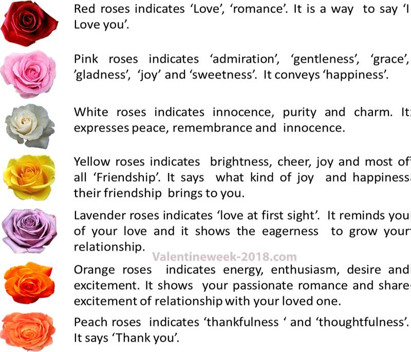 Happy Rose Day 2019 Quotes Best Rose Day Sms And Messages