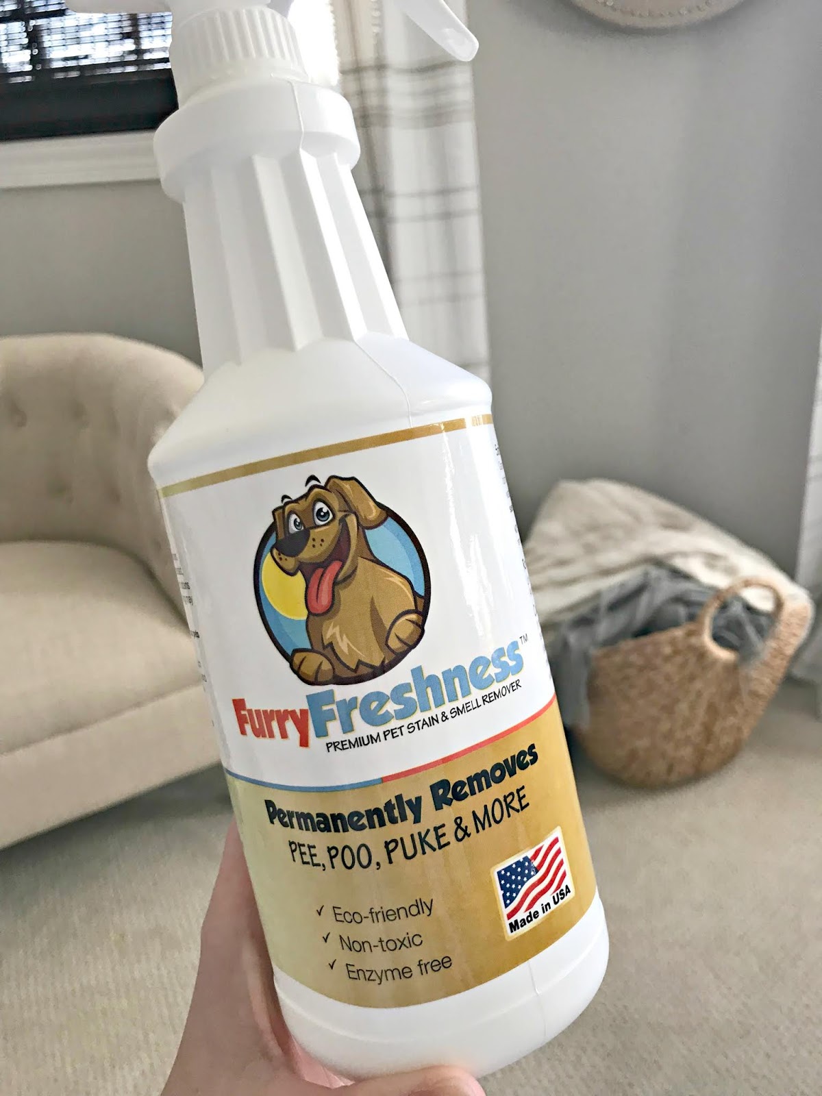 The BEST cleaning product for animals