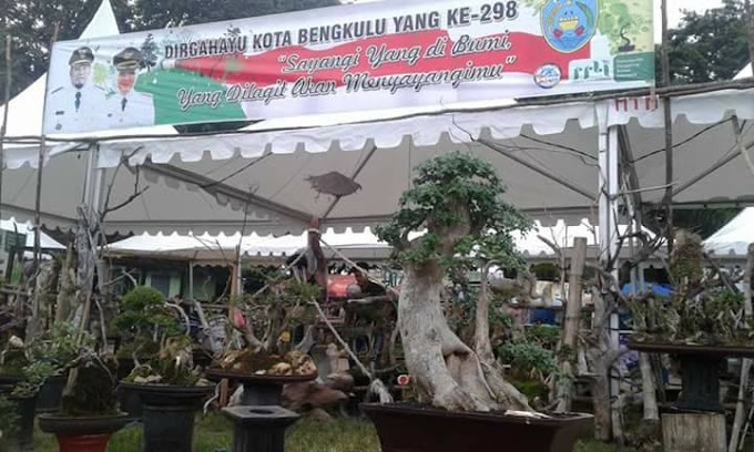 MEMPERKENALKAN BONSAI DI MASYARAKAT MELALUI PAMERAN 