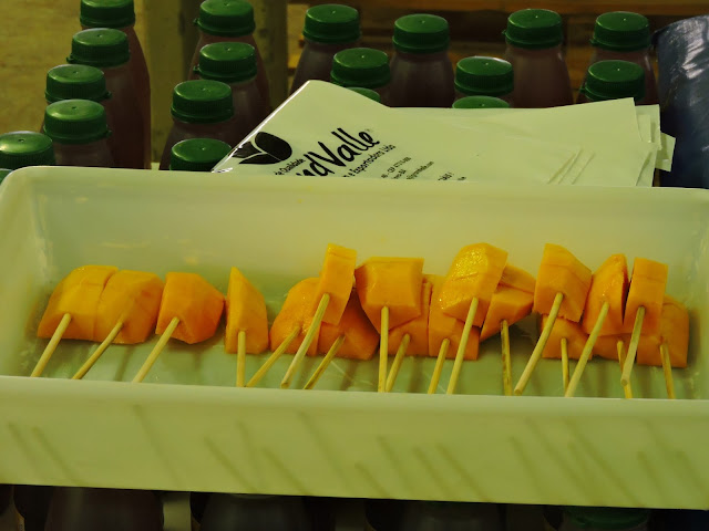 Juazeiro: Vapor do Vinho com Fazenda de frutas, vinícolas, Lago Sobradinho e eclusa