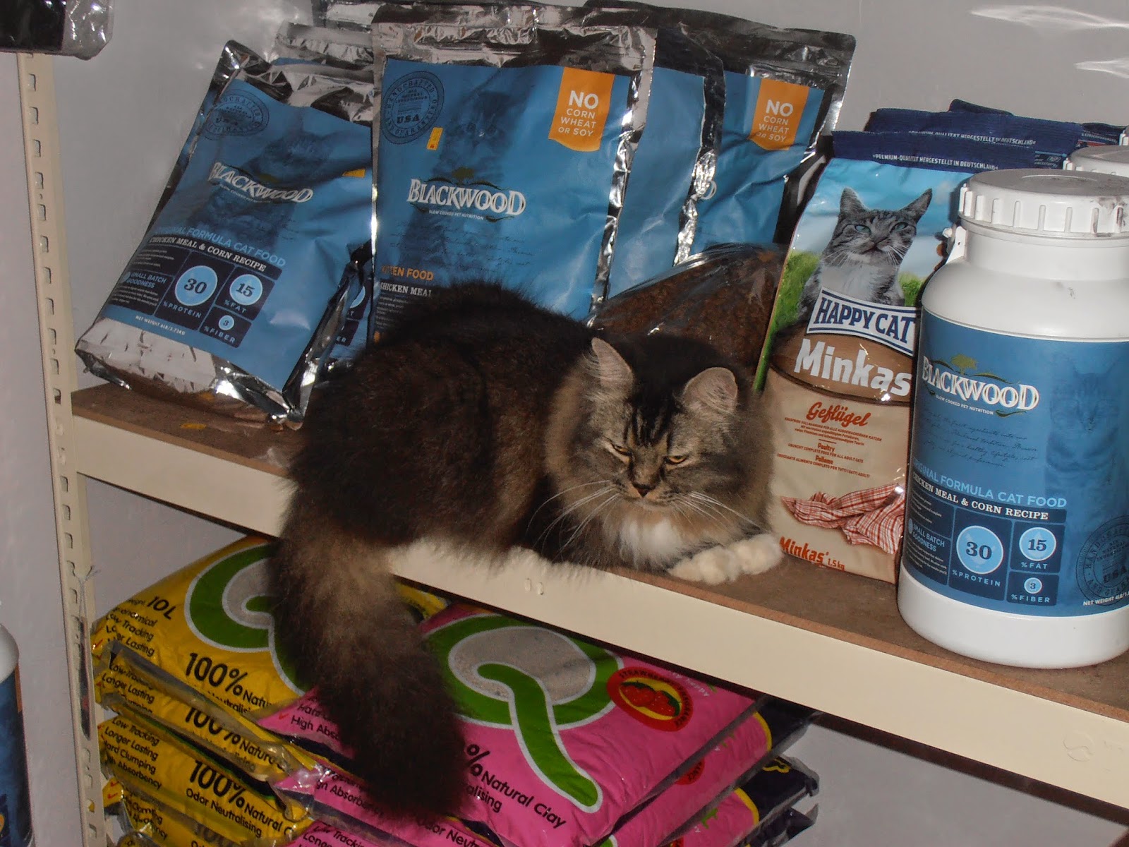Ubat Kutu Kucing Farmasi  Modif D