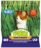 Блог Кота Васьки Семена