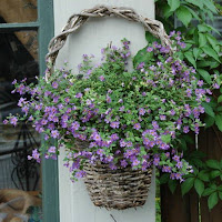 KREMASTES GLASTRES HANGING PLANTER IDEAS