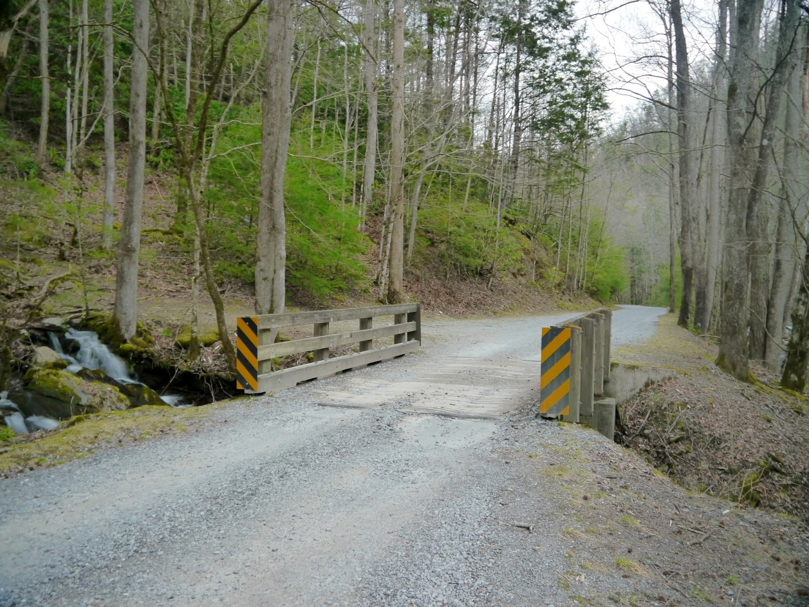 American Travel Journal Upper Tremont Road Great Smoky Mountains