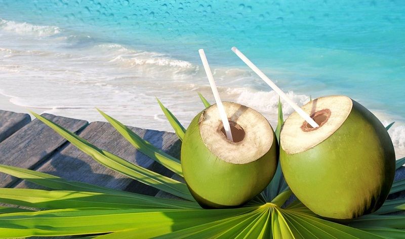 Kelapa Gambar Buah Yang Mengandung Vitamin C - Kelapa