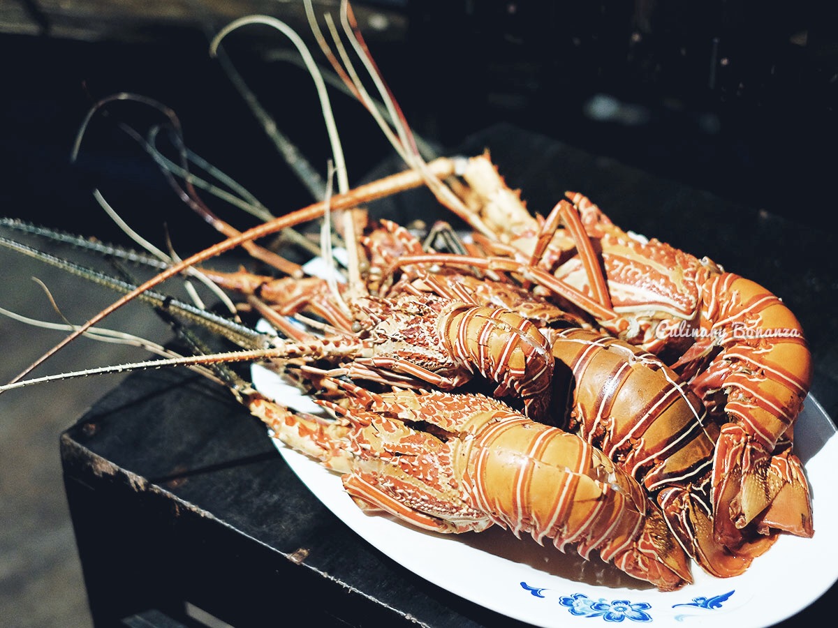 Manna-Encounter-Raja-Ampat-(www.culinarybonanza.com) Manna-Encounter-Raja-Ampat-(www.culinarybonanza.com)