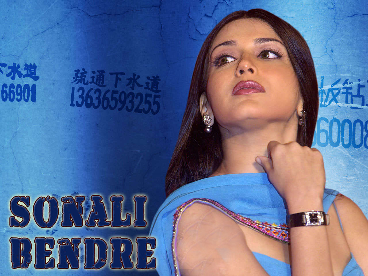Pc Games HD Movies: sonali bendre hd wallpaper.