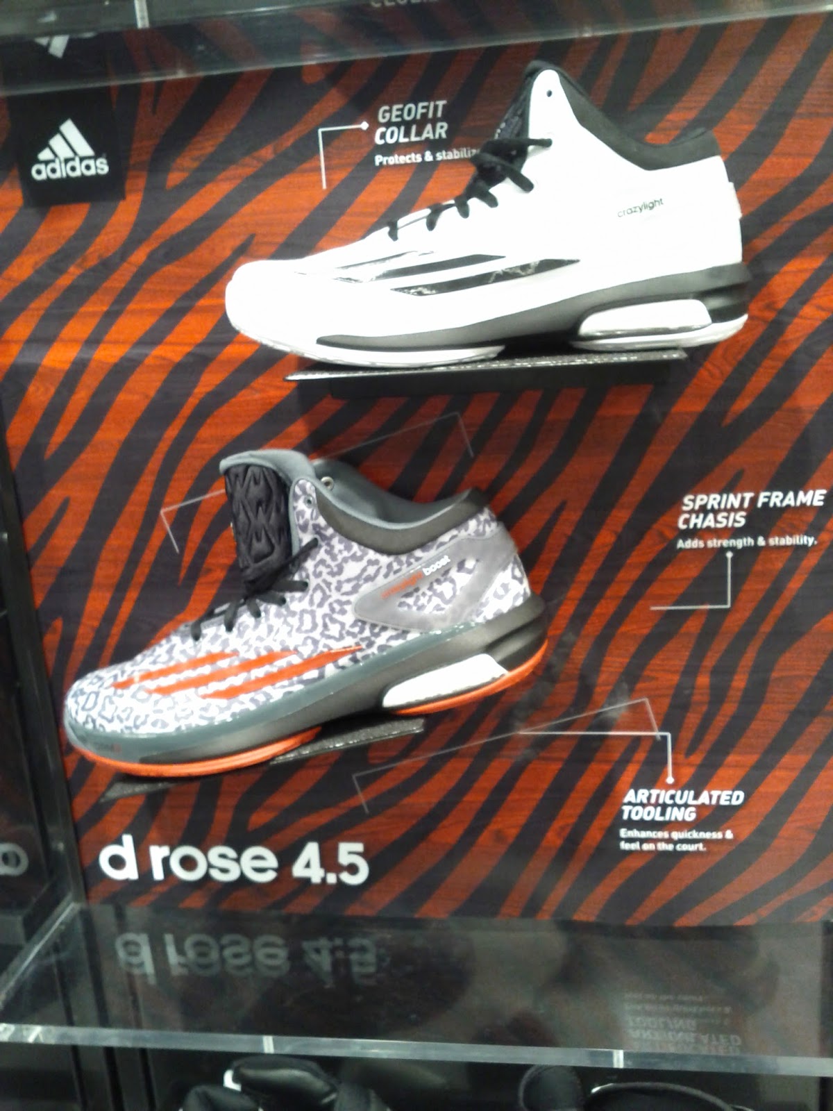 d rose 4 kids