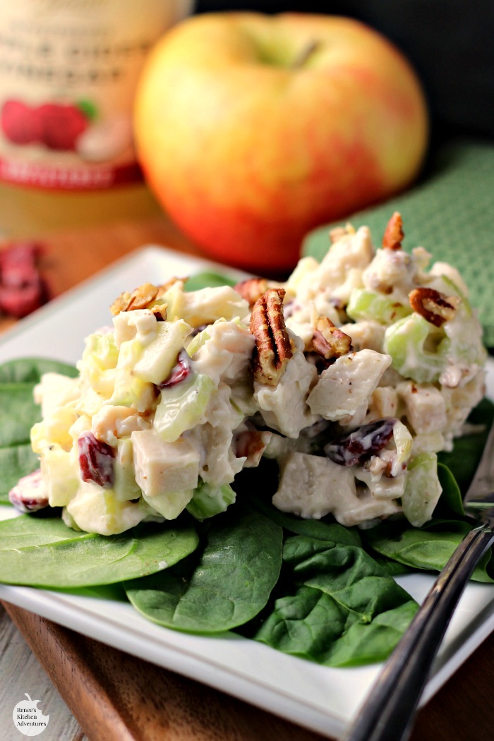 Turkey Apple Cranberry Pecan Salad | by Renee's Kitchen Adventures - an easy, healthy recipe for turkey salad. Makes a great lunch or dinner.  Perfect way to re-purpose holiday leftovers! 