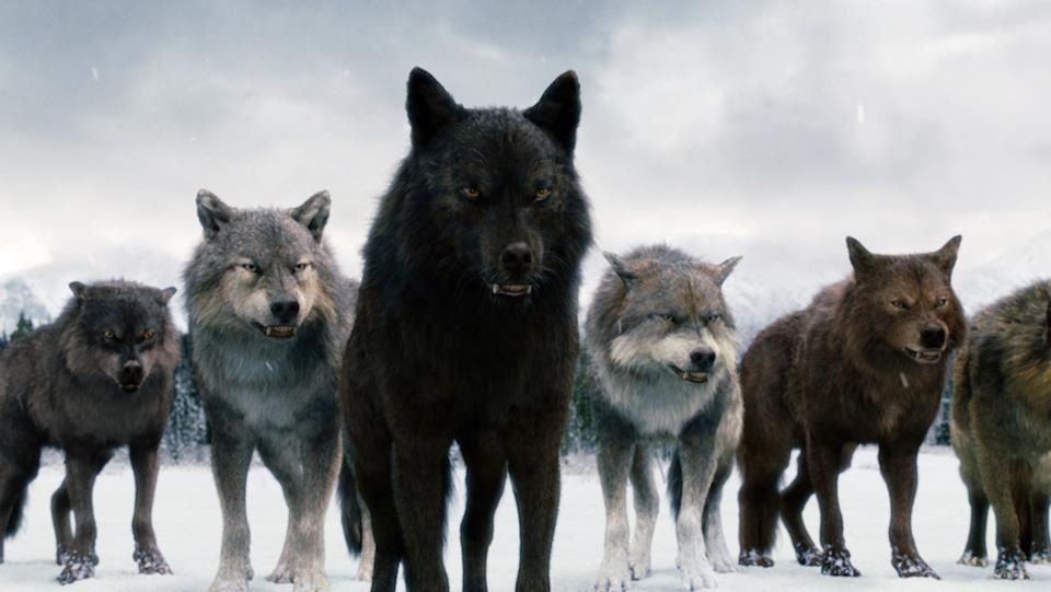 Movie werewolves - ranked on looks alone