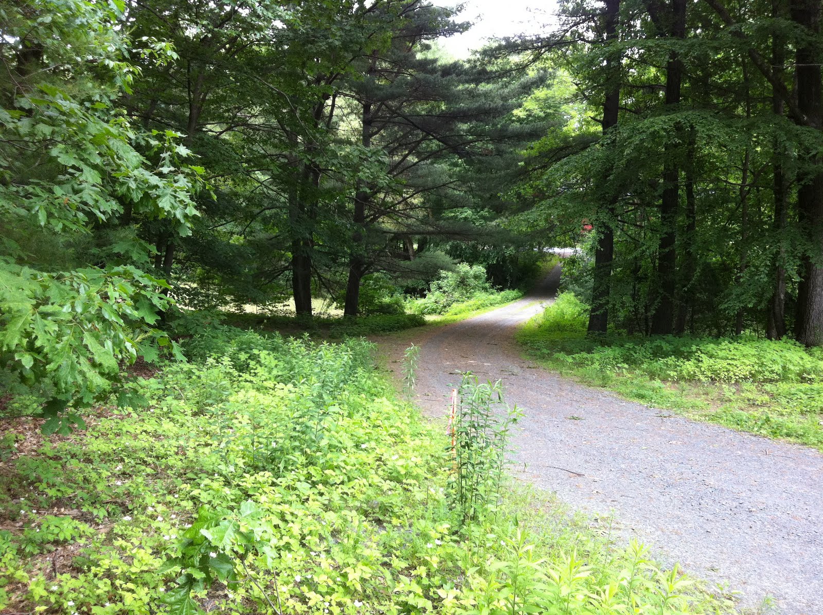 Maple Acres Farm June 5, 2011
