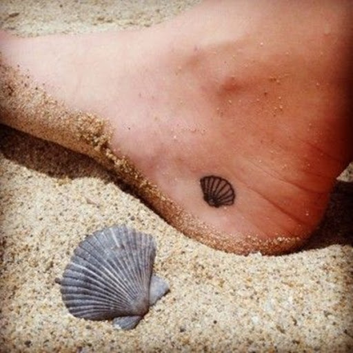 Concha Do Mar