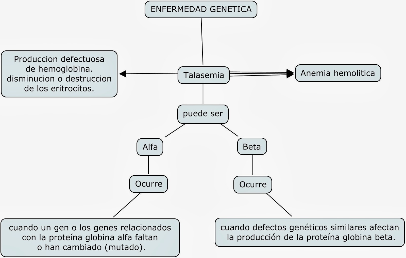 EL MUNDO DE LA TALASEMIA el-mundo-de-la-talasemia