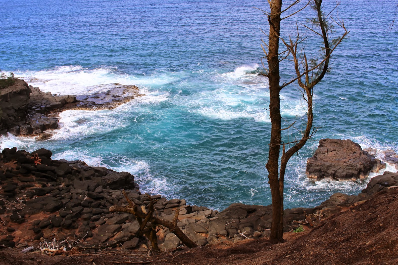 Our 30th Anniversary Hawaiian Islands Vacation: Our wonderful Hawaiian ...