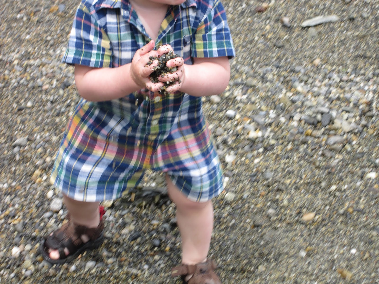 Maineiacs Henry's Handbook for throwing rocks