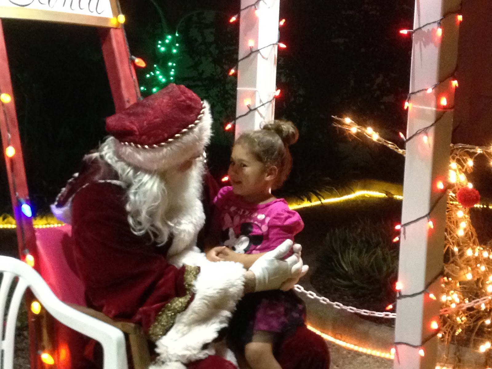 Reunion Voyage Christmas lights in Seminole, FL