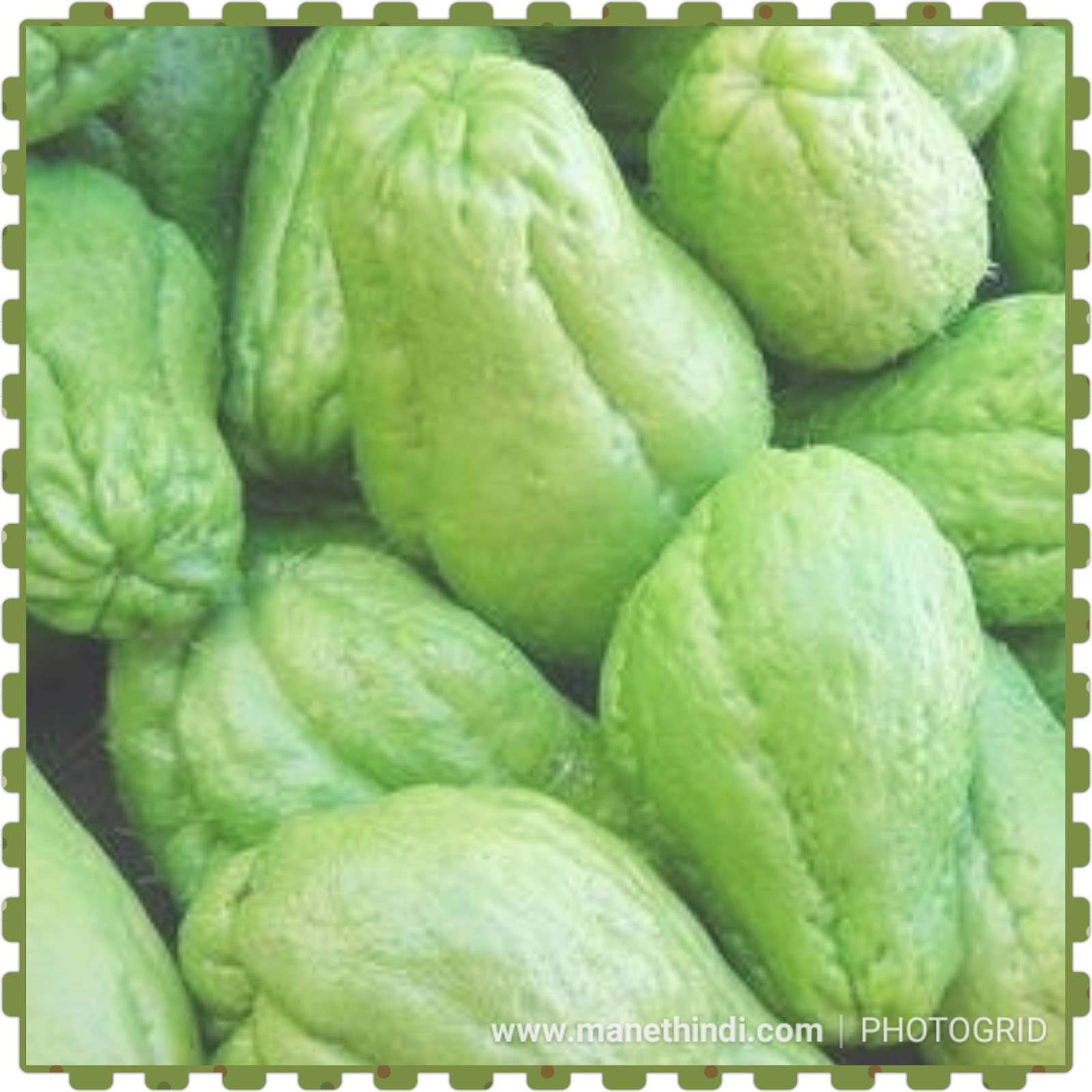 Chow chow or chayote squash chutney