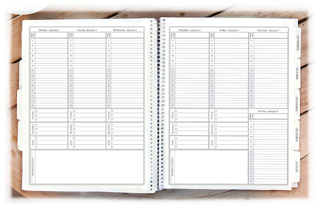 review of the Tools4Wisdom planner