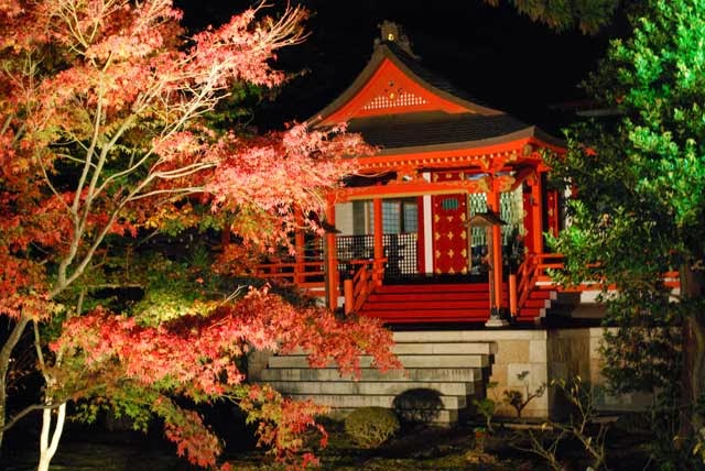 Mirando al mundo con sentimientos: El templo Daikakuji y su hermoso