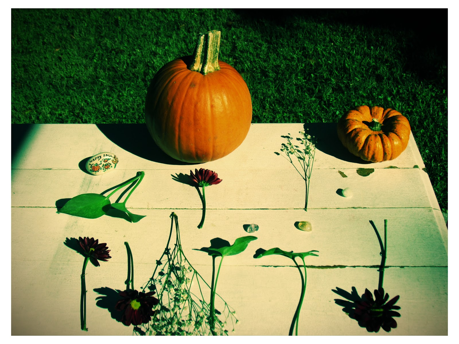 Everyday Laurali Star Experimenting With Lomo Art + Autumn Photography Blend Lomo Art Photography With Pumpkins and Flowers