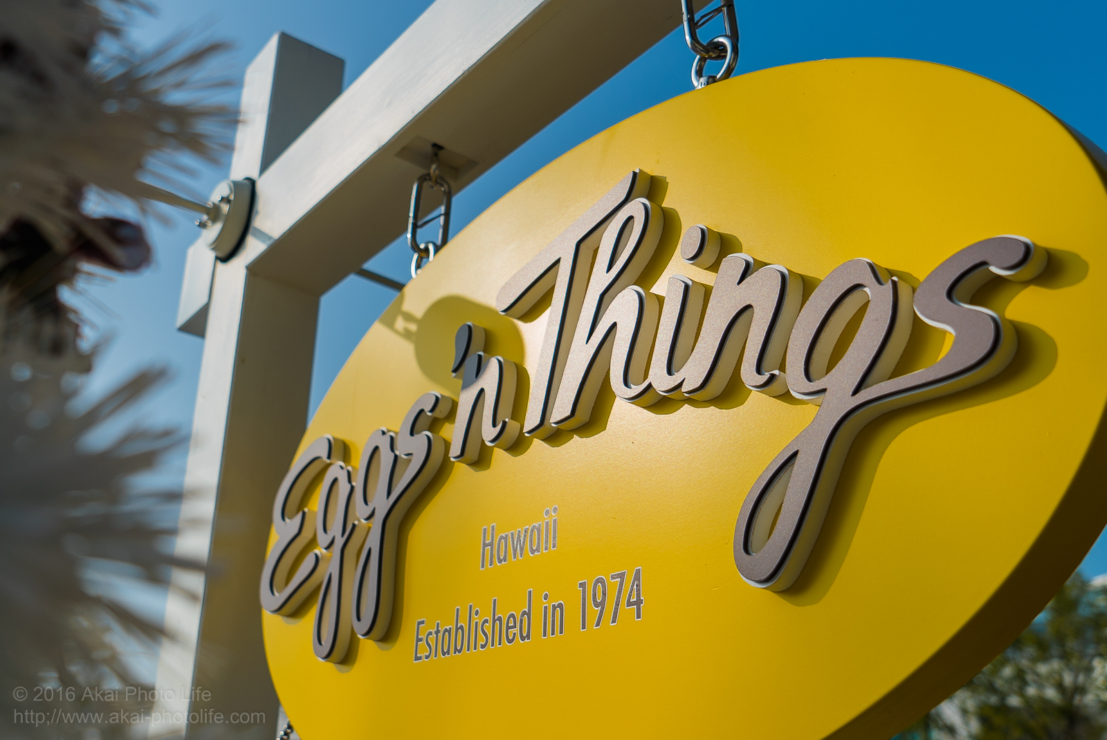 Eggs 'n Things エッグスンシングス ららぽーと立川立飛店