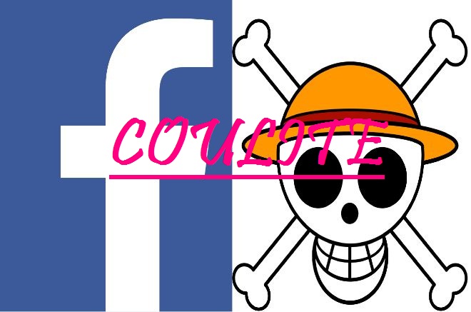 Download Facebook Tema One Piece Apk MOD ~ Coulite