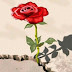 An Insightful Perspective On Love Hunger Pangs by Kiambi.