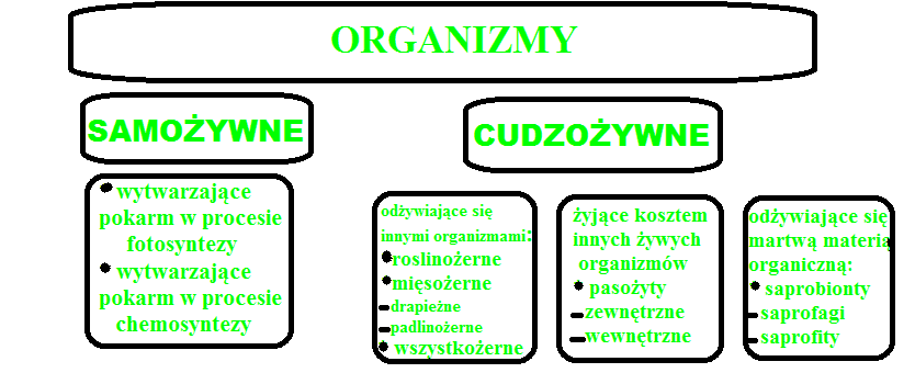 Raz, dwa, trzy Biologia i my!: Różne sposoby na odżywianie