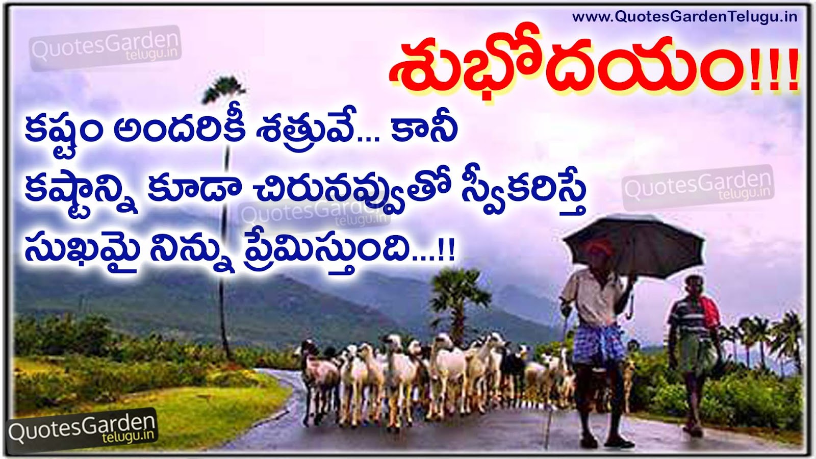 Telugu Good morning Status messages Quotes QUOTES GARDEN TELUGU