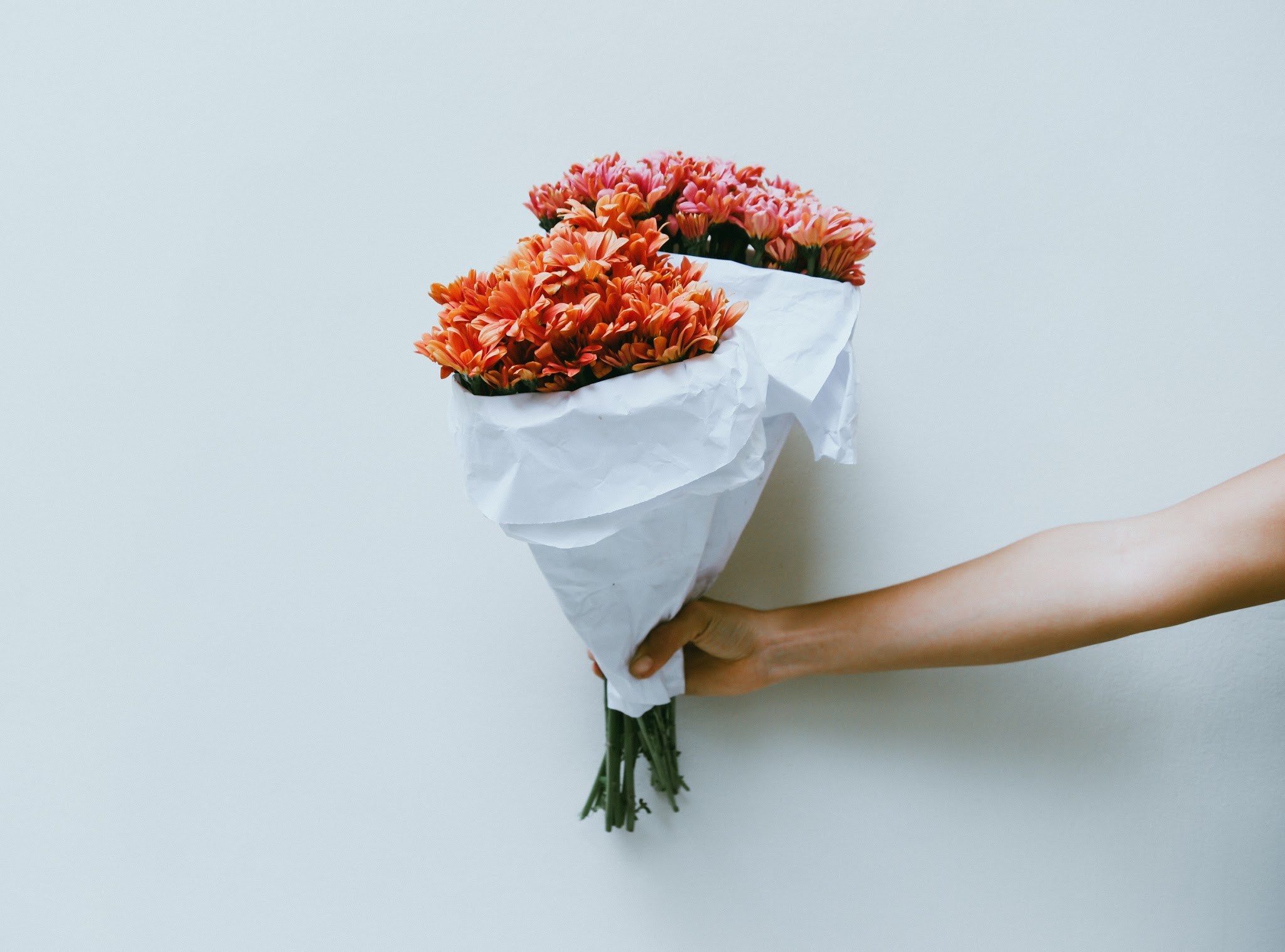 lembranças de uma primavera
