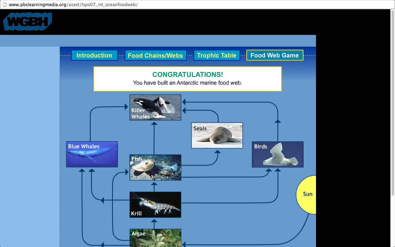 Free Technology for Teachers: The Antarctic Food Web Game