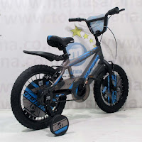 16 Pacific Ripper 1.0 BMX