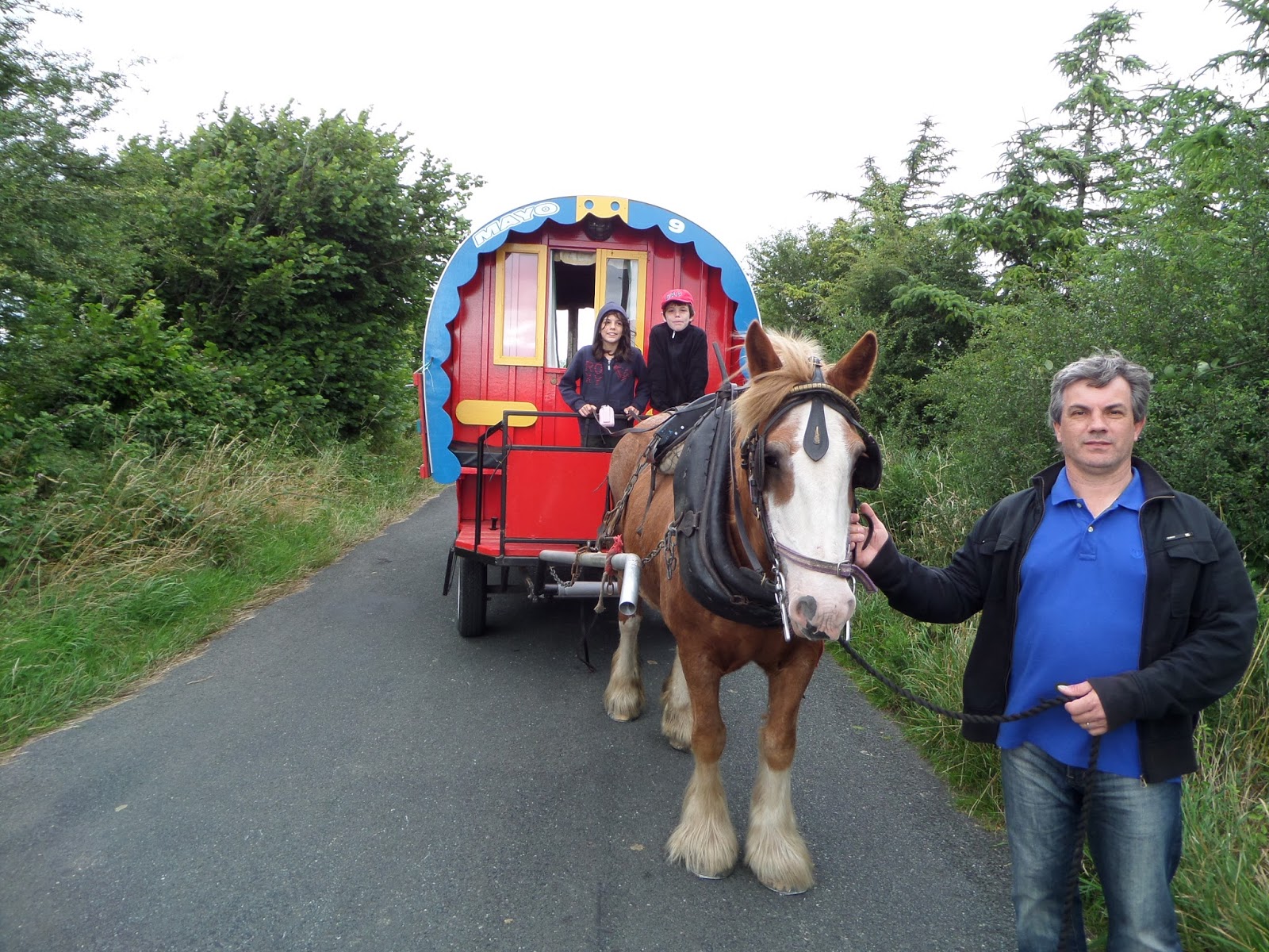 Trashing Europe Mayo and the horsedrawn caravans