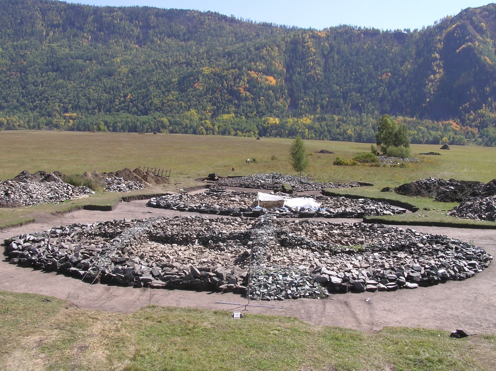 Курганы в казахстане