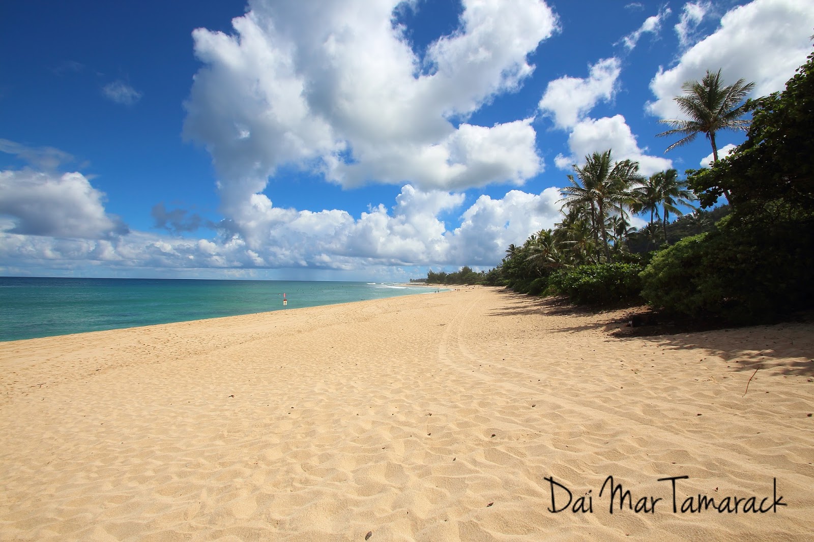 Which Hawaiian Island has the Most Beautiful Beaches