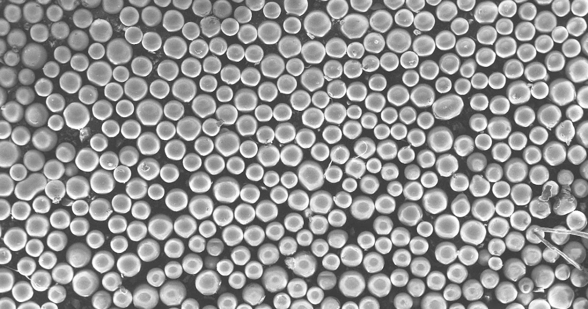 NZ Nano: Scanning electron microscope image of a cats eye diagram of cat hair 