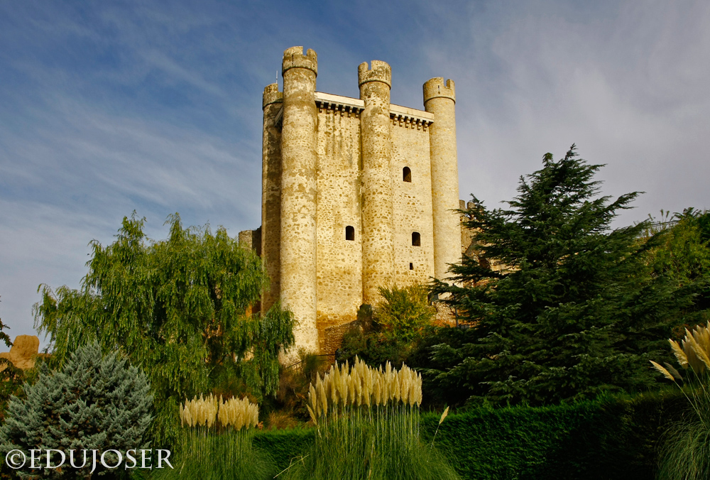 EDUJOSER CASTILLO DE VALENCIA DE DON JUAN (León)