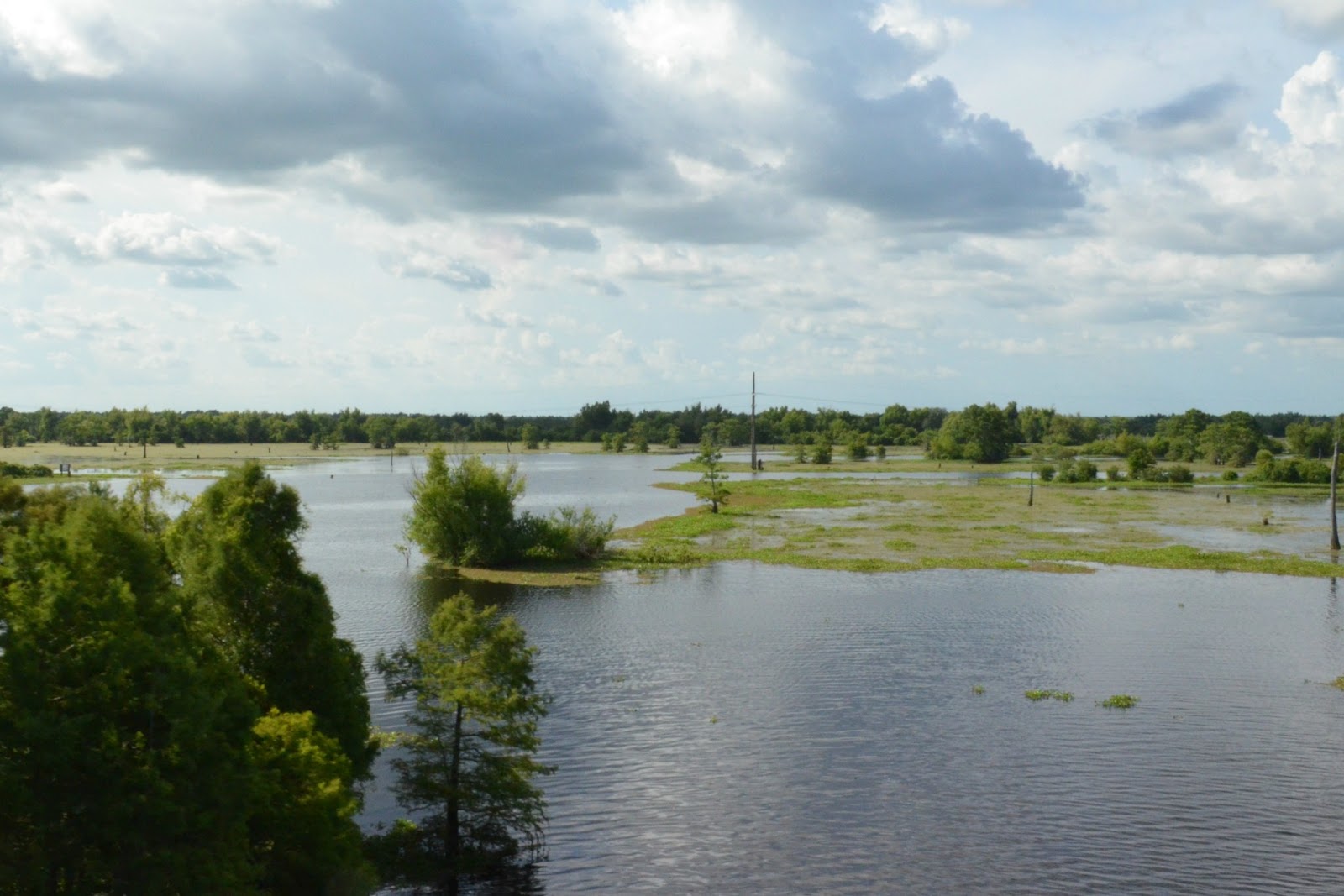 Living The Long Haul Atchafalaya Basin Bridge