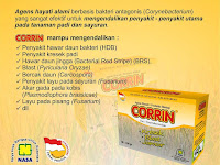 Agensia Hayati CORRIN - Agensia Hayati Pengendali Hawar Daun/Kresek, Blast dan Bercak Daun Agensia Hayati CORRIN - Agensia Hayati Pengendali Hawar Daun/Kresek, Blast dan Bercak Daun