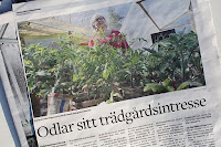 Växjöbladet/Kronobergaren 11 maj 2018