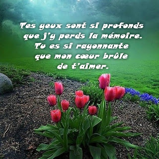 Petits textes mignons