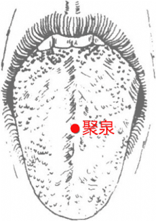 聚泉穴位 | 聚泉穴痛位置 - 穴道按摩經絡圖解 | Source:big5.wiki8.com