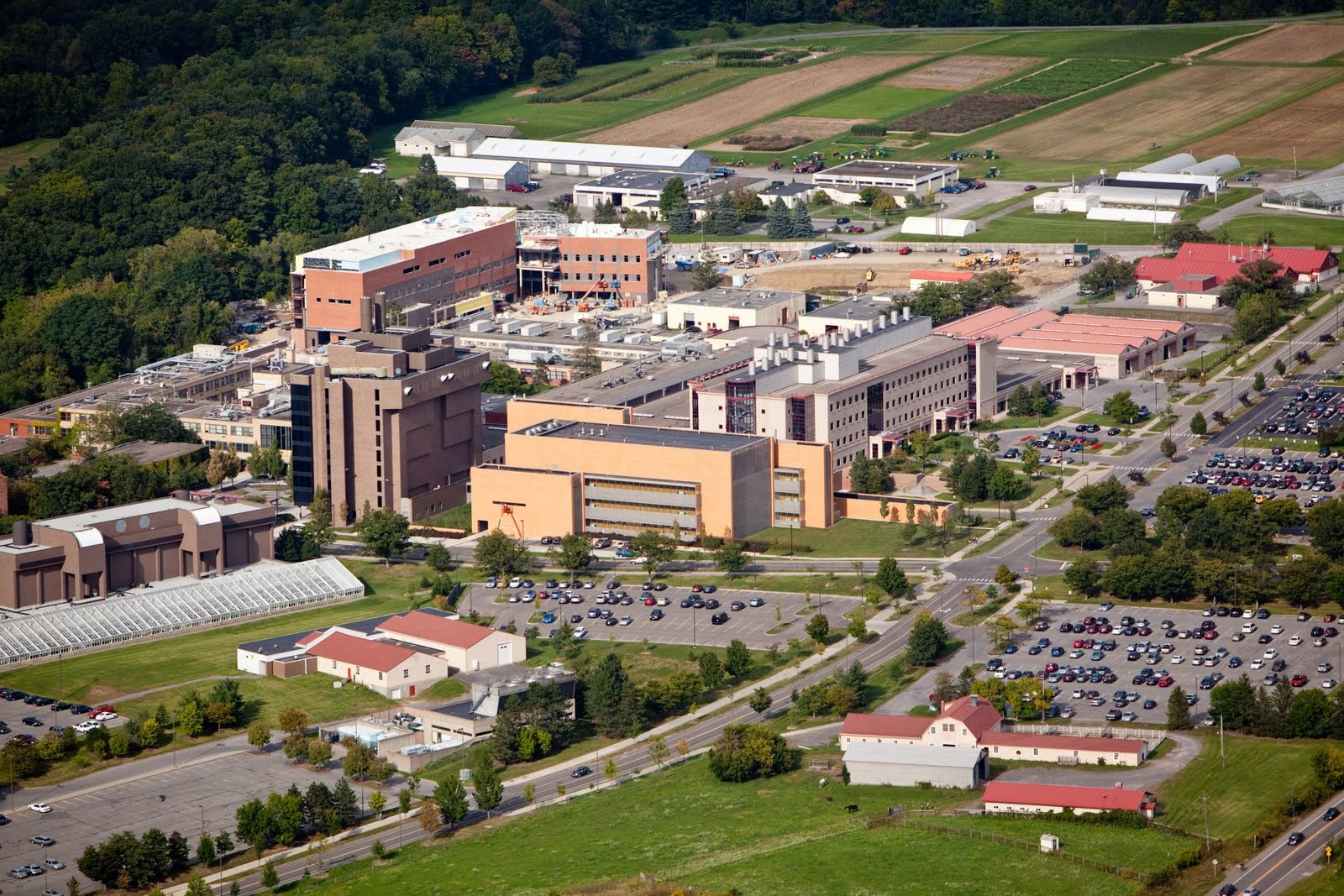 Cornell University College Of Veterinary Medicine New York Veterinary