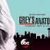Grey’s Anatomy | Membro do elenco se despede no final da 13ª temporada!