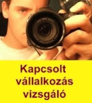 Kapcsolt vállalkozás vizsgáló