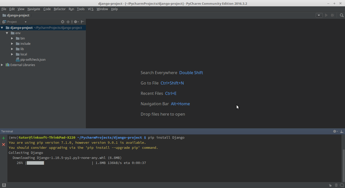 Django download json file