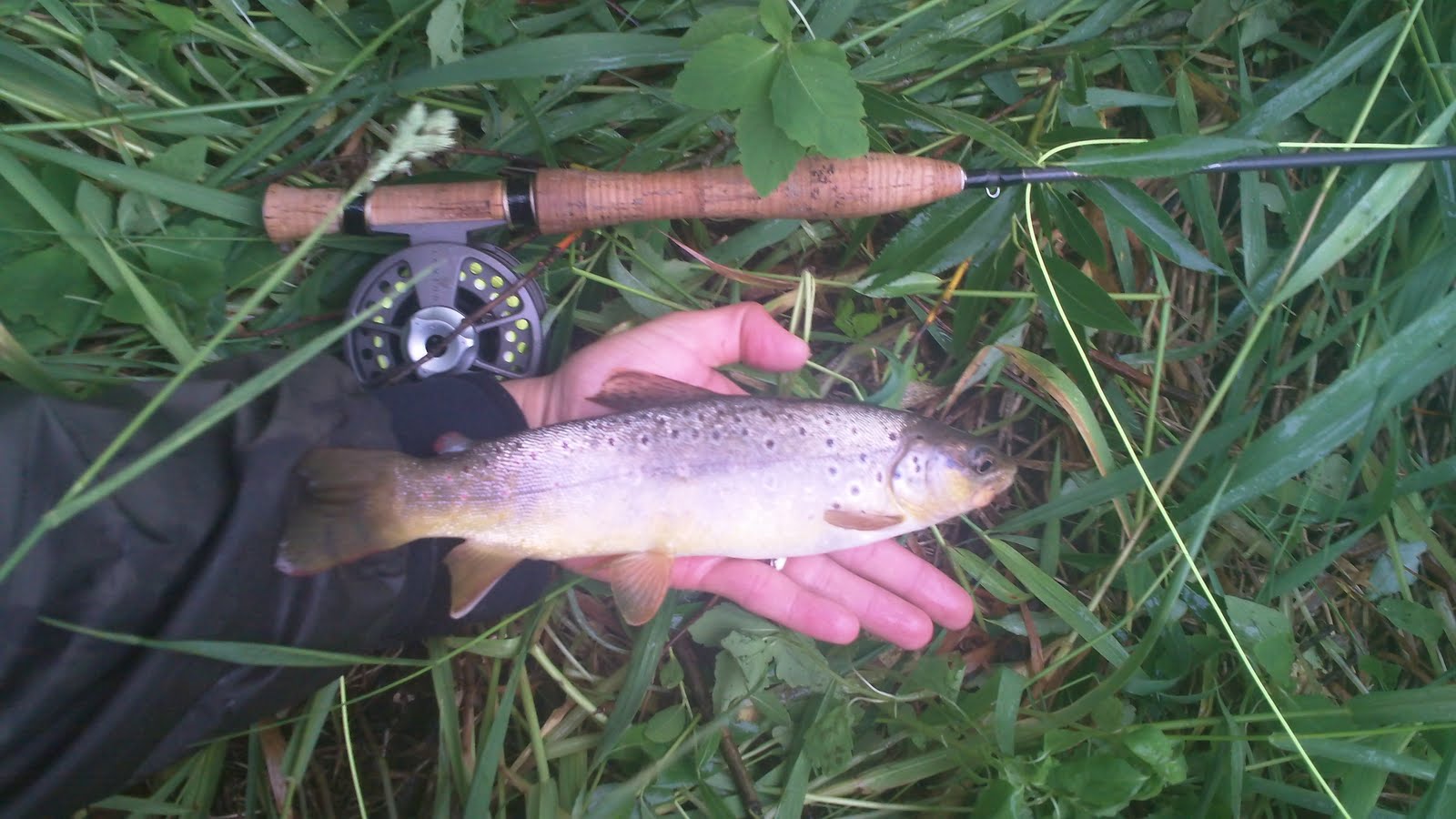 Illinois Wisconsin Fishing dane county trout report