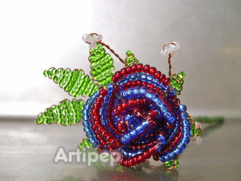 rosa blaugrana (barça)