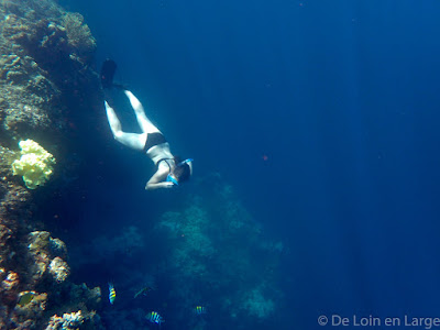 Pulau Menjangan - Bali